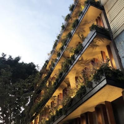 Avance de obra interior San Rafael